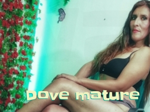 Dove_mature