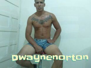 Dwaynenorton