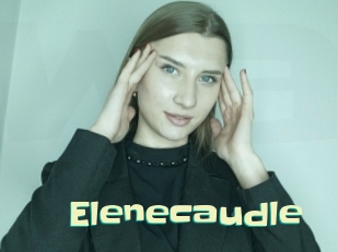 Elenecaudle