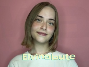 Elvinabute