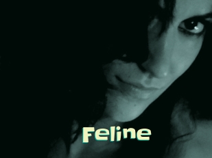 Feline