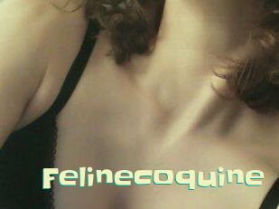 Felinecoquine