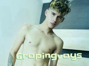 Gropingvoys