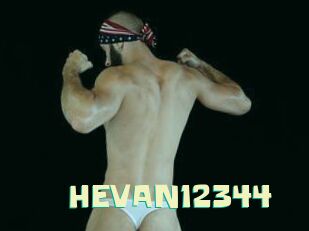 HEVAN12344