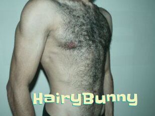 HairyBunny