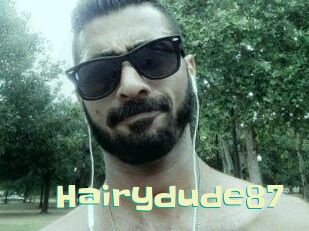 Hairydude87