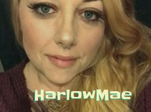 Harlow_Mae