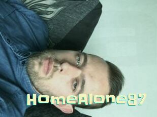 HomeAlone87