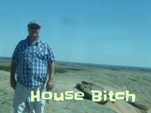 House_Bitch