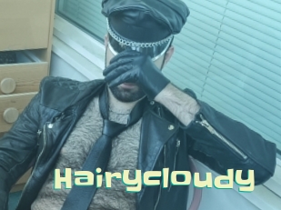 Hairycloudy