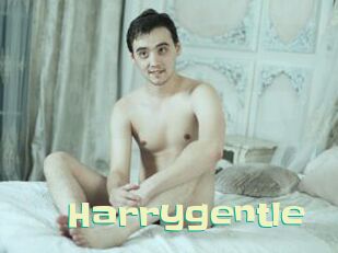 Harrygentle