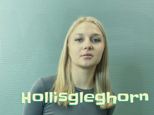 Hollisgleghorn