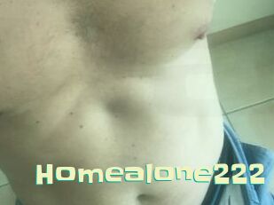 Homealone222