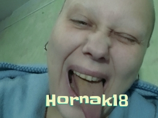 Hornak18