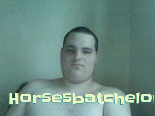 Horsesbatchelor