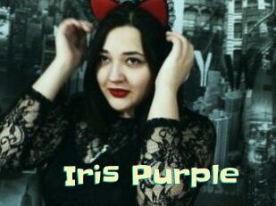 Iris_Purple