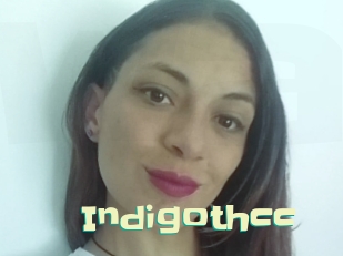 Indigothcc