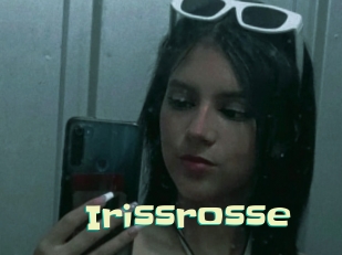 Irissrosse