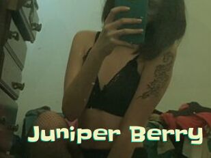 Juniper_Berry