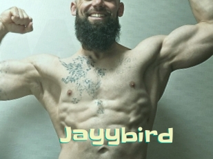 Jayybird