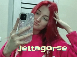 Jettagorse