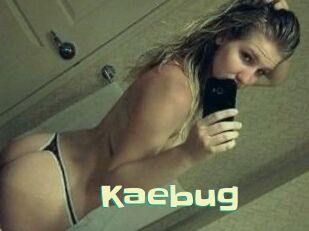 Kaebug