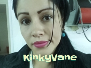 KinkyVane