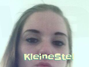 KleineStel