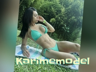 Karimemodel