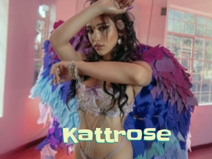 Kattrose