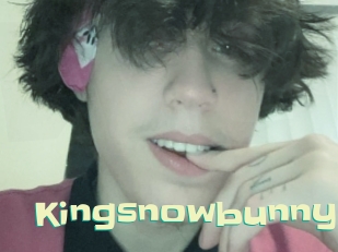 Kingsnowbunny