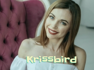 Krissbird