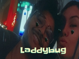 Laddybug