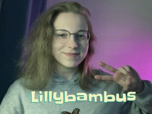 Lillybambus