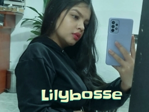 Lilybosse