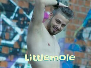 Littlemole