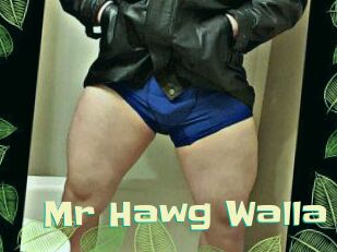 Mr_Hawg_Walla