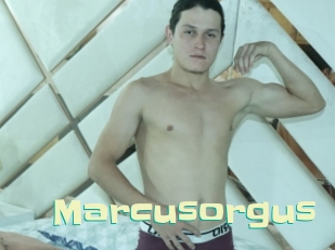 Marcusorgus