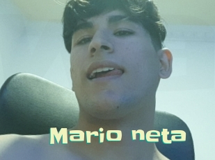 Mario_neta