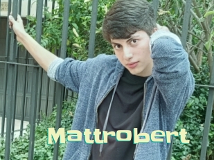 Mattrobert