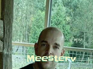 Meesterv