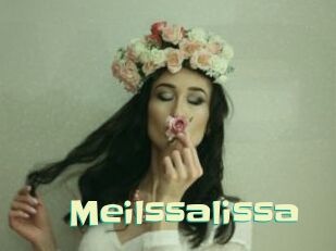 Meilssalissa