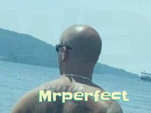 Mrperfect