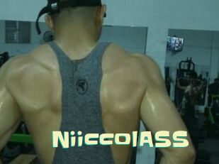 NiiccolASS