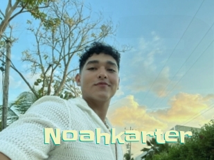 Noahkarter