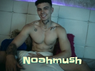 Noahmush