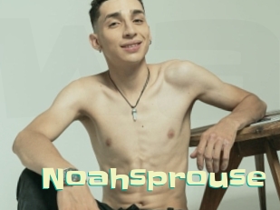 Noahsprouse