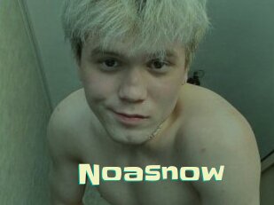 Noasnow