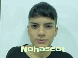 Nohascot