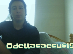 Odettacaecus19